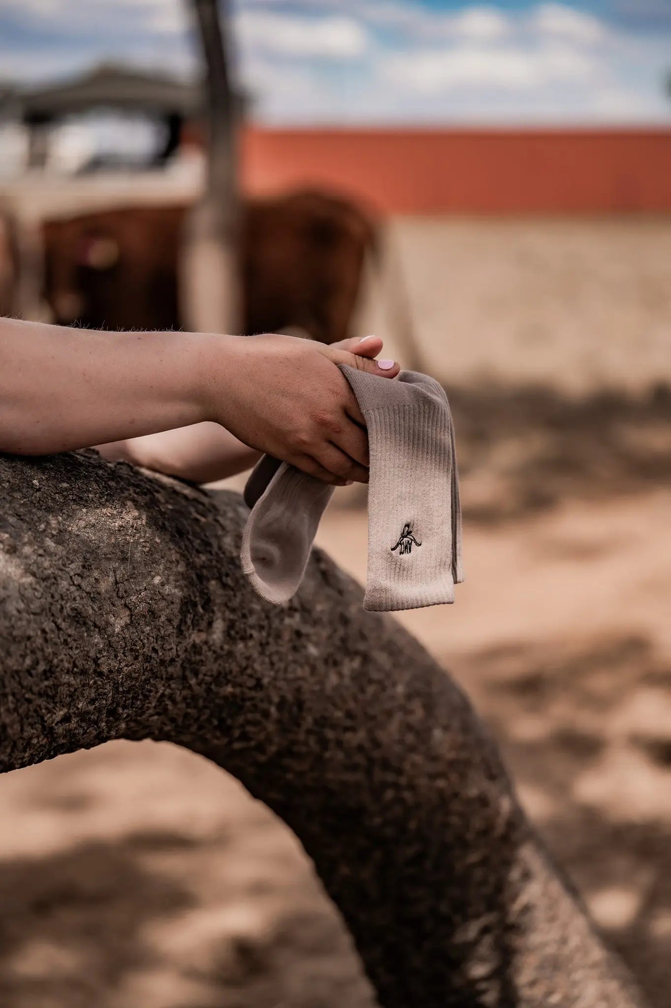 Bing Bong Socks Pair Aus Wild Clothing Co