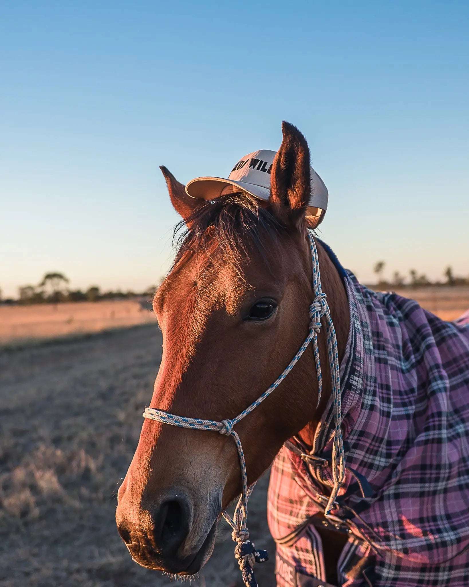 Chillagoe Cap - Ivory Aus Wild Clothing Co