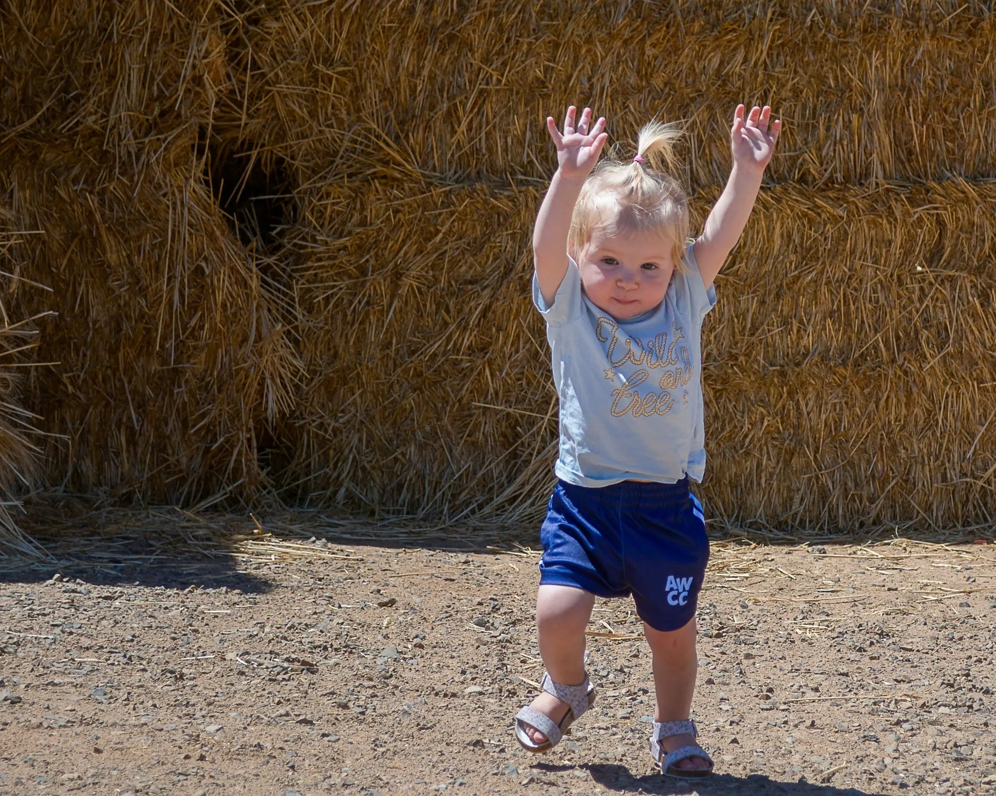 Kids Muttaburra Footy Shorts - Blue Aus Wild Clothing Co