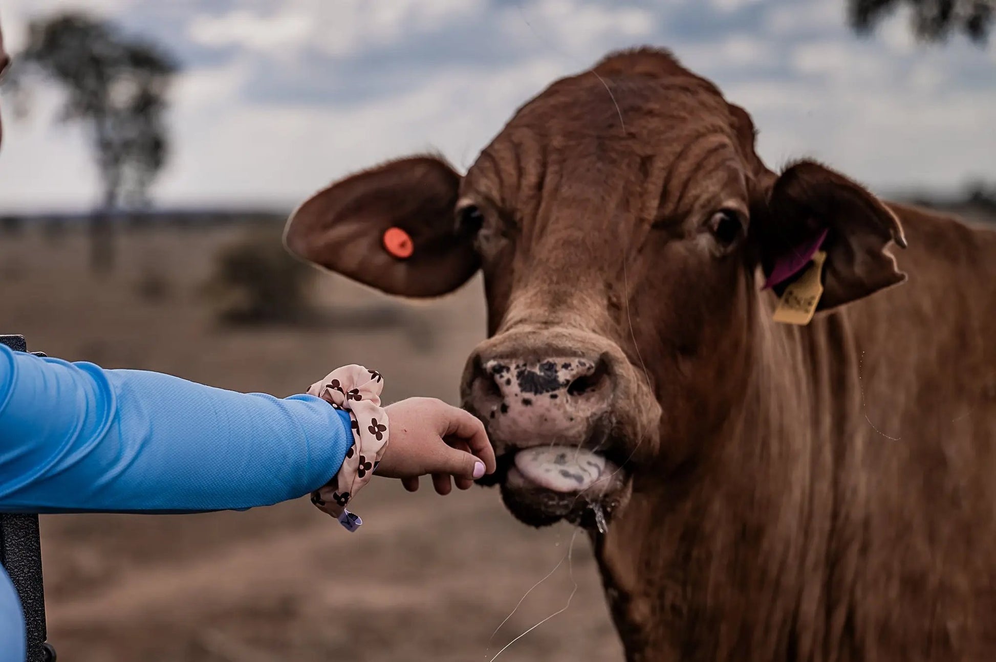 The Dusty Bloom Scrunchie Aus Wild Clothing Co